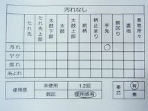 平和屋1◎アンティーク　大正ロマン　全通柄袋帯　楽器風景文　金銀糸　逸品　CAAB1599in_画像4