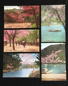 §戦前絵葉書EZ01 嵐山の桜花 10枚（京都名所）渡月橋他