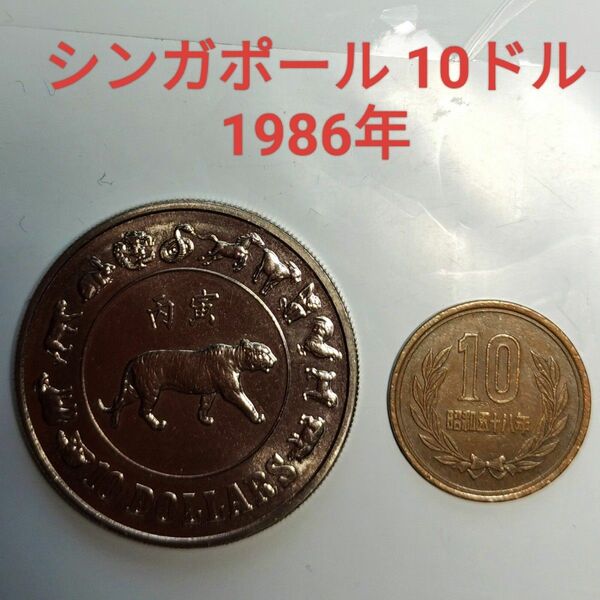 シンガポール 記念硬貨 10ドル 1986 虎 福 ケース付