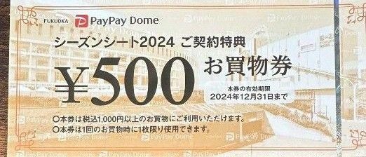 PayPayドーム 500円お買い物券　9枚