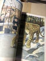 戦前！講談社の絵本　動物園見物　軍馬軍犬美談 収録。古賀忠道・文。多田北烏、梁川剛一、長谷川露二、椛島勝一、伊藤幾久造_画像6