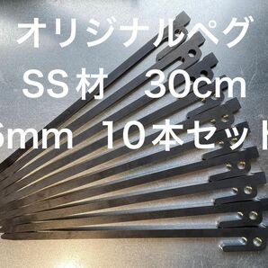 30cm★SS材★オリジナル鉄製ペグ★10本セット★レーザーカット