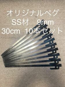 9mm★30cm★SS材★オリジナル鉄製ペグ★10本セット★レーザーカット