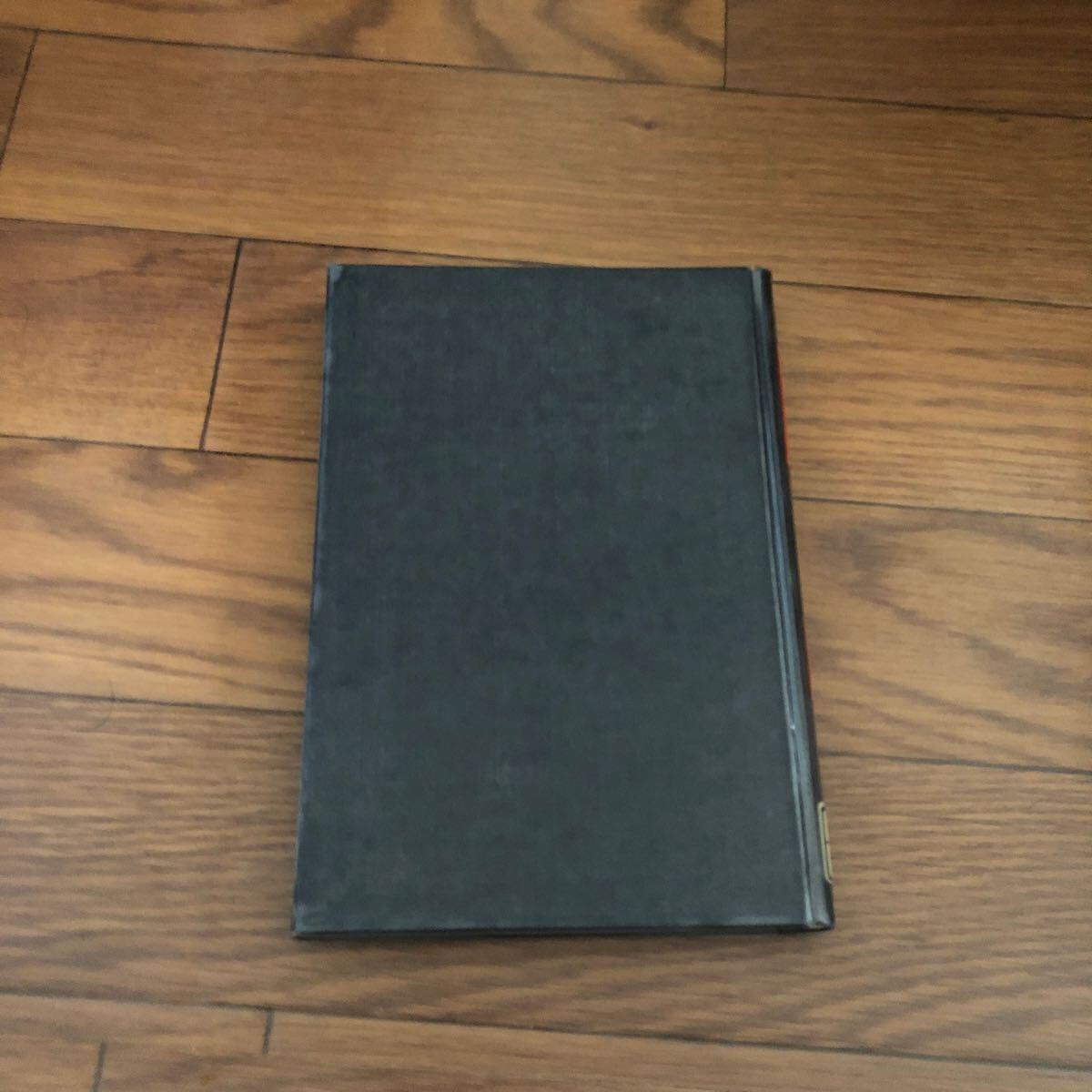 現代日本社会論 豊かな社会の病理 （社会学全書）(鈴木 正仁) 高文堂出版社 リ