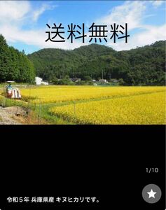 残少 安全と美味しさの根拠があるお米 タガメが棲む水田 兵庫 R5年 キヌヒカリ 新米 玄米 10kg 1等米 発芽玄米に減農薬