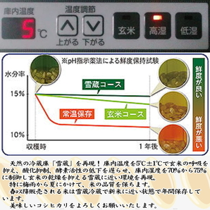 魚沼産コシヒカリ 南魚沼塩沢コシヒカリ玄米10kg令和5年産の画像3