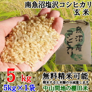 魚沼産コシヒカリ 南魚沼塩沢コシヒカリ玄米5kg令和5年産