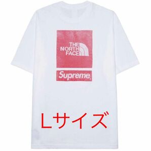 Supreme x The North Face S/S Top "White"