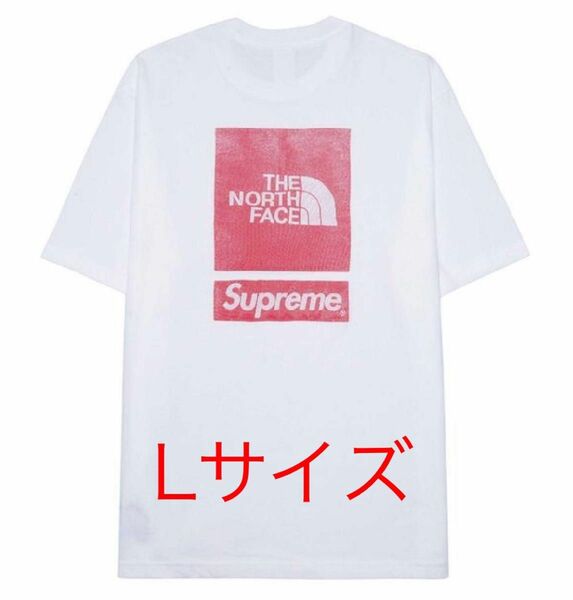 Supreme x The North Face S/S Top "White"