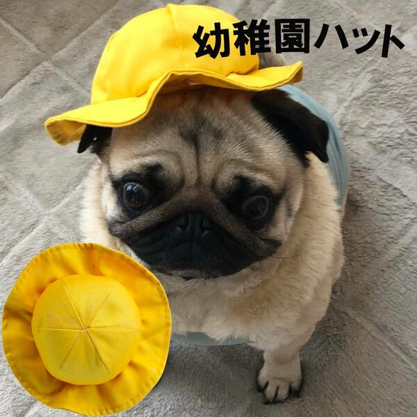 新品 犬帽子 ちくわちゃん幼稚園ハット♪♪犬用品 ペット用品