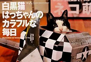 白黒猫はっちゃんのカラフルな毎日／八二一【写真・文】