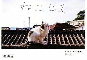 ねこじま ＴＡＳＨＩＲＯＪＩＭＡ／関由香【撮影】