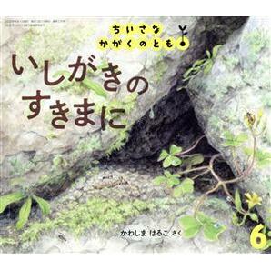 ちいさなかがくのとも(６ ２０２０) いしがきのすきまに 月刊誌／福音館書店の画像1