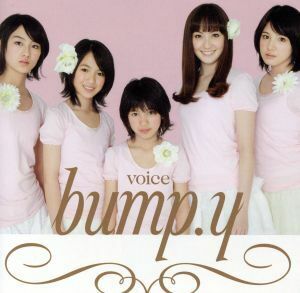 ｖｏｉｃｅ／ｂｕｍｐ．ｙ