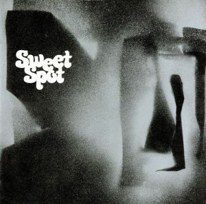 Ｓｗｅｅｔ　Ｓｐｏｔ／ゆらゆら帝国