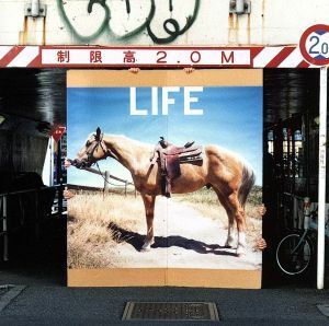 ＬＩＦＥ（初回生産限定盤）／フジファブリック