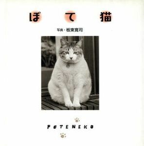 写真集　ぽて猫／荒川千尋(著者),板東寛司