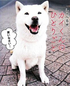 しゃべる犬カイくんのひとりごと／吉村春海【撮影】