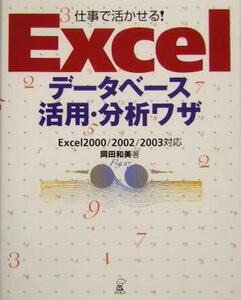  work .....!Excel database practical use * analysis wa The Excel2000|2002|2003 correspondence | hill rice field peace beautiful ( author )