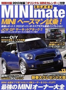 ＭＩＮＩ　ｍａｔｅ　(Ｖｏｌ．１３)／趣味・就職ガイド・資格