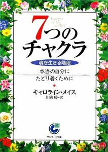 ７つのチャクラ 魂を生きる階段 サンマーク文庫／キャロラインメイス【著】，川瀬勝【訳】