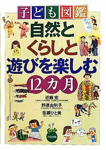 子ども図鑑　自然とくらしと遊びを楽しむ１２カ月／近藤宏，野原由利子，笹瀬ひと美【著】