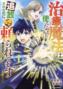 治癒魔法は使えないと追放されたのに、なぜか頼られてます(１) 俺だけ使える治癒魔法で、聖獣と共に気づけば世界最強になっていた グラスト