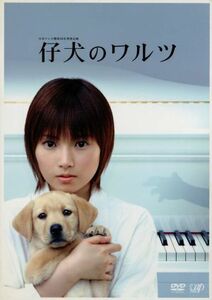 仔犬のワルツ　ＤＶＤ－ＢＯＸ／野島伸司（企画）,吉野万理子（脚本）,吉野洋（演出）,長沼誠（演出）,大谷太郎（演出）,安倍なつみ,西島秀