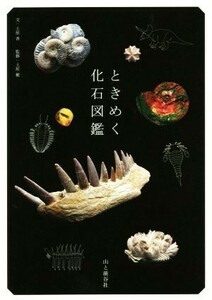 ときめく化石図鑑 Ｂｏｏｋ　ｆｏｒ　ｄｉｓｃｏｖｅｒｙ／土屋香(著者),土屋健