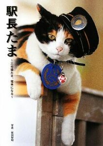  station length Tama three wool cat Tama, train become | slope rice field ..[ photograph ]