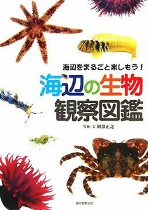 海辺の生物観察図鑑 海辺をまるごと楽しもう！／阿部正之【写真・文】