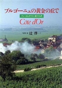 ブルゴーニュの黄金の丘で ブレーさんのワイン造り１２カ月／辻啓二