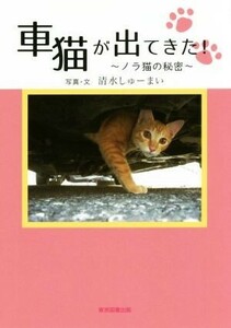 車猫が出てきた！　～ノラ猫の秘密～／清水しゅーまい(著者)