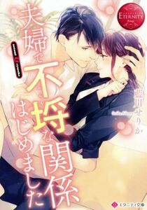 夫婦で不埒な関係はじめました Ｎｏｚｏｍｉ　＆　Ｒｙｏｓｕｋｅ エタニティ文庫・赤／藍川せりか(著者)