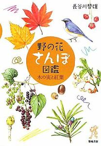 野の花さんぽ図鑑 木の実と紅葉／長谷川哲雄【著】