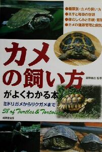 カメの飼い方がよくわかる本　ミドリガメからリクガメまで 霍野晋吉／監修