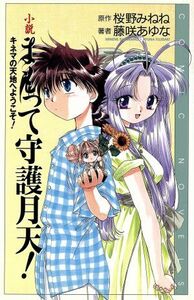 小説　まもって守護月天！ キネマの天地へようこそ！ コミックノベル／桜野みねね(著者),藤咲あゆな(著者)