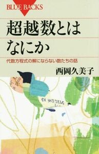 超越数とはなにか 代数方程式の解にならない数たちの話 ブルーバックス／西岡久美子(著者)