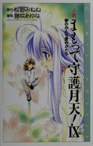 小説まもって守護月天！　９ （Ｃｏｍｉｃ　ｎｏｖｅｌｓ） 桜野みねね／原作　藤咲あゆな／著