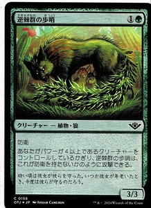 MTG/サンダー・ジャンクションの無法者/逆棘群の歩哨/Bristlepack Sentry(日)C-緑☆FOIL