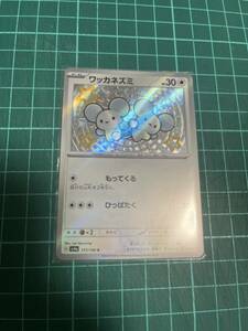 ポケモンカード ワッカネズミS 色違い 美品