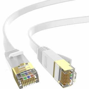 CAT6 LANケーブル 2m 2本 ホワイト