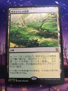 MTG/吹きさらしの荒野/Windswept Heath/KTK/日本語