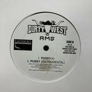 黒棚 HIPHOP,R&B AMG - PUSSY INST,シングル レコード 中古品