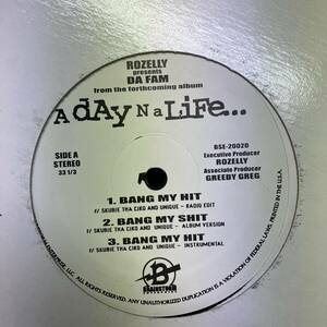 黒棚 HIPHOP,R&B A DAY NA LIFE... - BANG MY HIT INST,シングル レコード 中古品