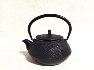 南部鉄器 伝統工芸 工芸品 急須 茶こし付 鉄瓶 鉄器 鉄急須 お茶入れ