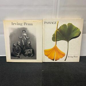 H630-O18-2643a- vi ng* pen photoalbum 2 pcs. set Irving Penn Passage John Szarkowski John * car - cuff ski foreign book summarize ⑥