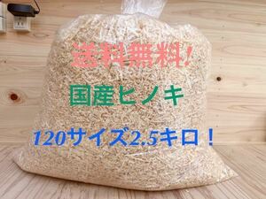 送料無料！　国産ヒノキ　かんなくず　120サイズ2.5キロ　消臭剤　ペット　おがくず ハムスター　クワガタ　床材　抗菌