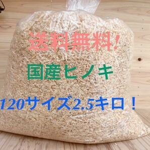 送料無料！　国産ヒノキ　かんなくず　120サイズ2.5キロ　消臭剤　ペット　おがくず ハムスター　クワガタ　床材　抗菌