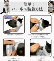 猫 ハーネス リード セット 散歩 外れない グレー・Lサイズ・新品即決！_画像9